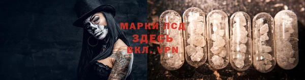 стафф Абинск