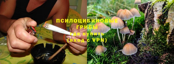 мяу мяу мука Новокубанск