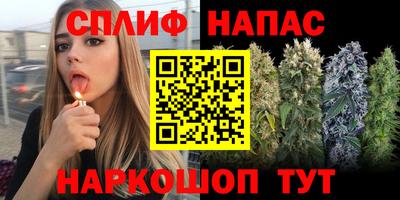 винт Котовск
