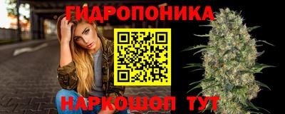 a pvp Севастополь